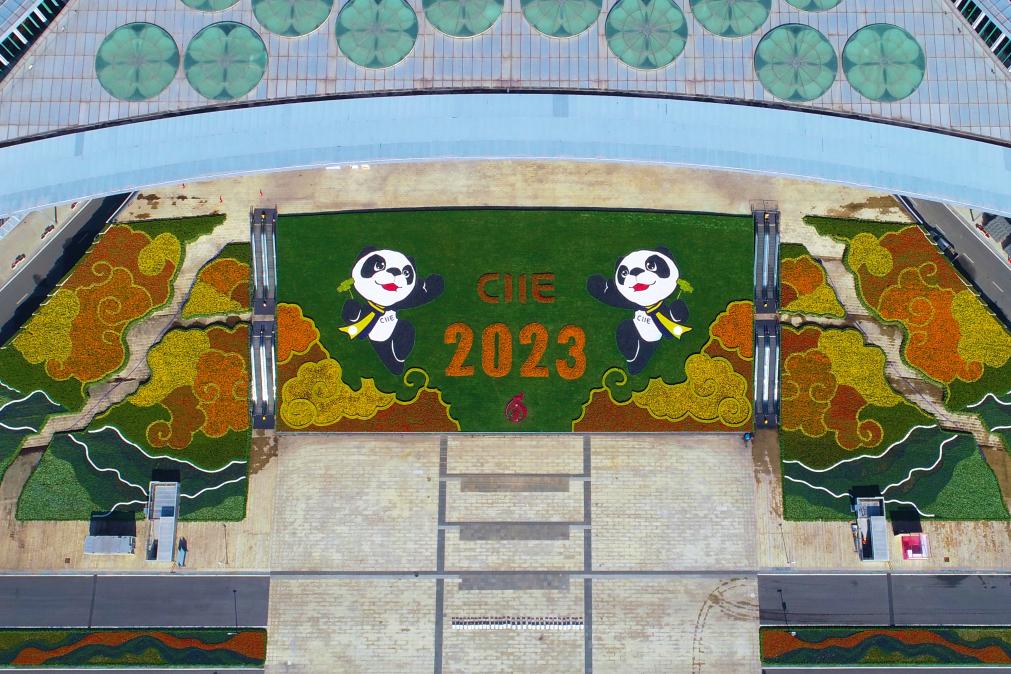 第六届进博会场馆景观装饰全面“定妆”米乐 M6米乐(图3)