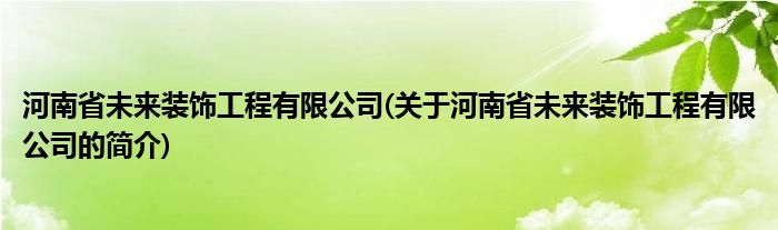 米乐 M6米乐河南省未来装饰工程有限公司(关于河南省未来装饰工程有限公司的简介)(图1)