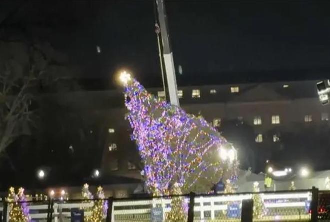 有百年传统的美国“国家圣诞树”点亮前被大风吹倒白宫紧急调派起重机抢修(图1)