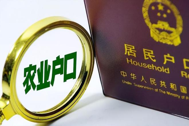 “他自己掉下去凭啥我赔？”男子装防盗网坠亡家属索赔200万(图8)