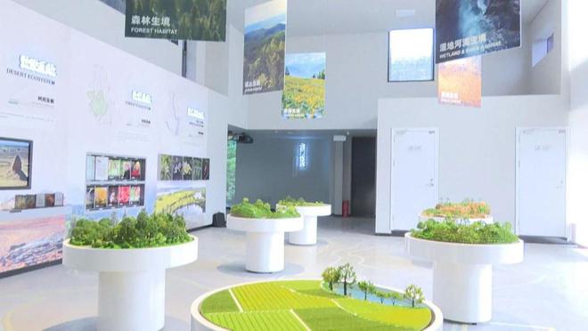 探访世园会分会场：龙门山生物多样性博览园建设如火如荼 预计3月底全面完工(图4)